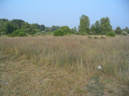 Traverse Drive-In Theatre - Field